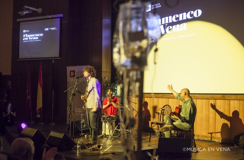 «FLAMENCO EN VENA» CON LIZANA